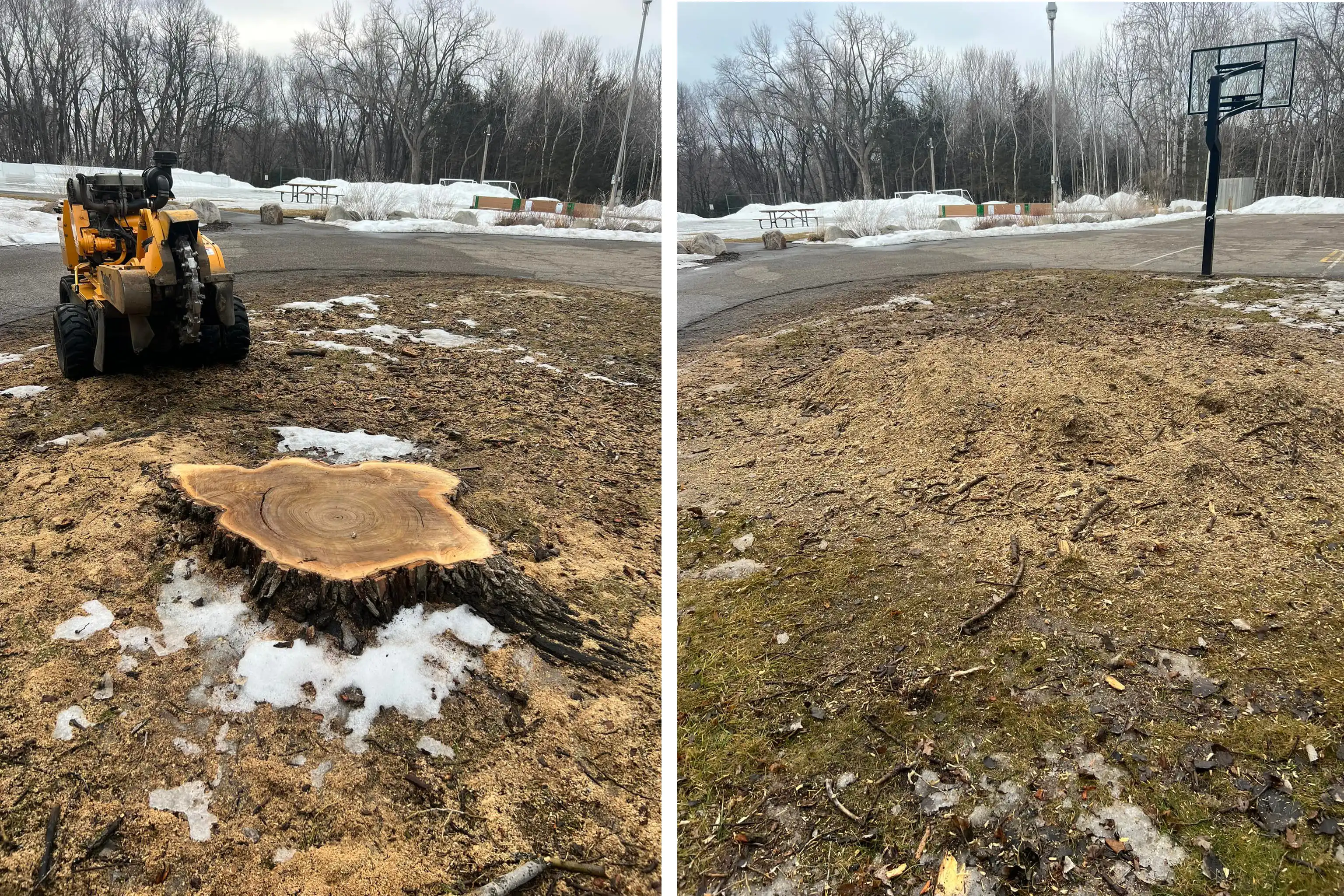 West Metro Stump Grinding - Clearing the lot in Eden Prairie, Minnesota