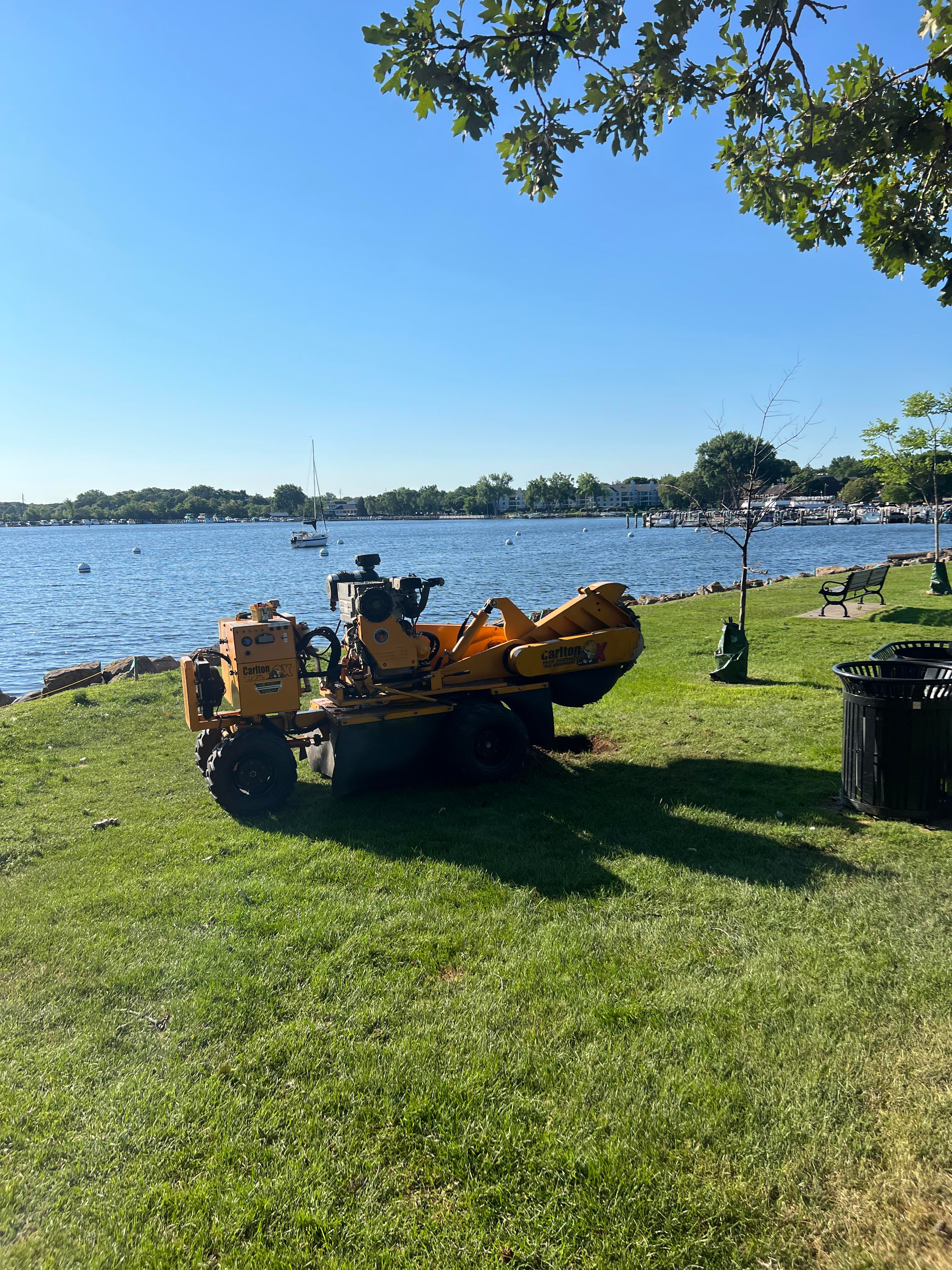 West Metro Stump Grinding - Stump removal by Lake Minnetonka in Excelsior, Minnesota