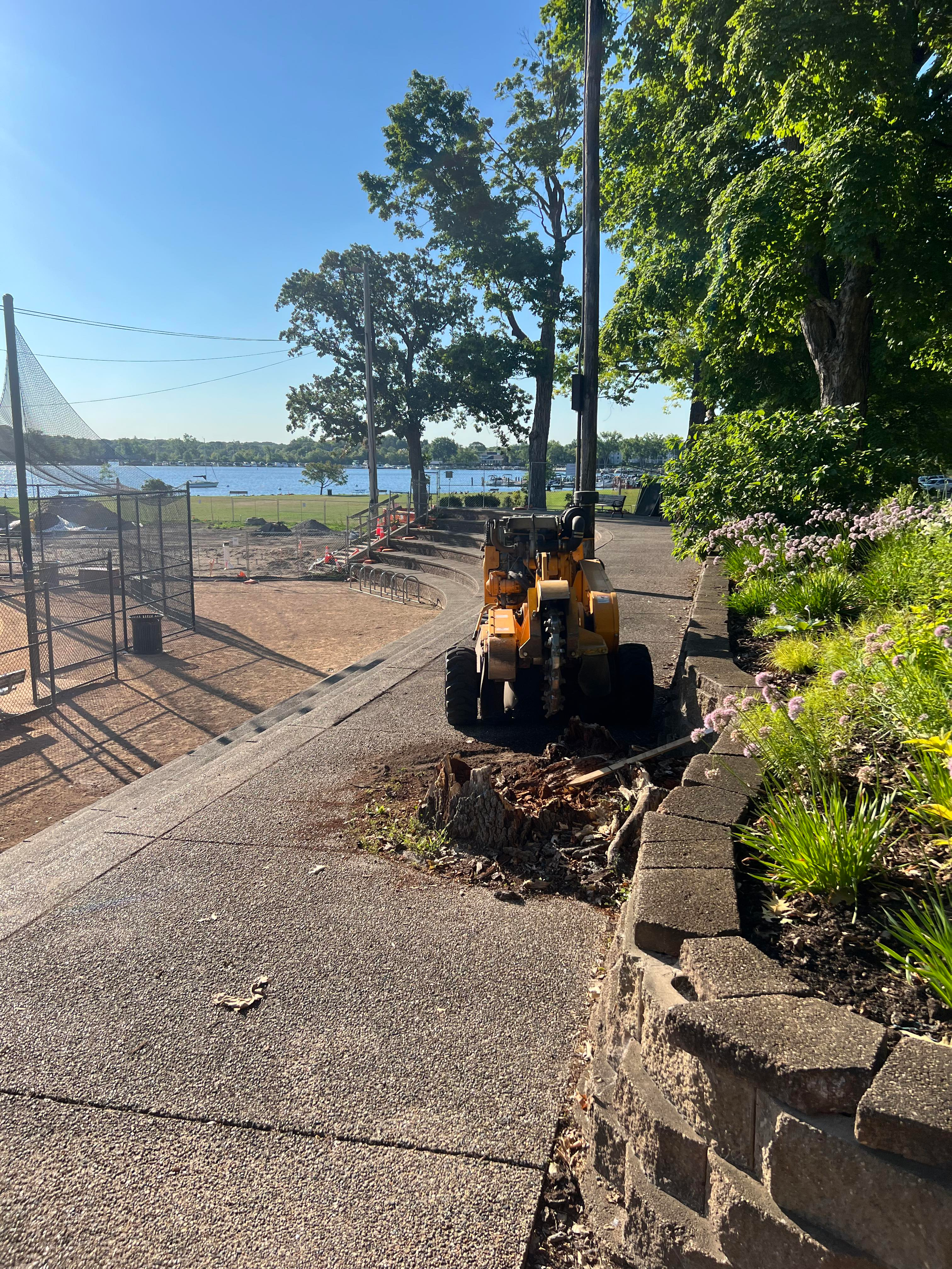 West Metro Stump Grinding - Removing stump from sidewalk in Excelsior, Minnesota