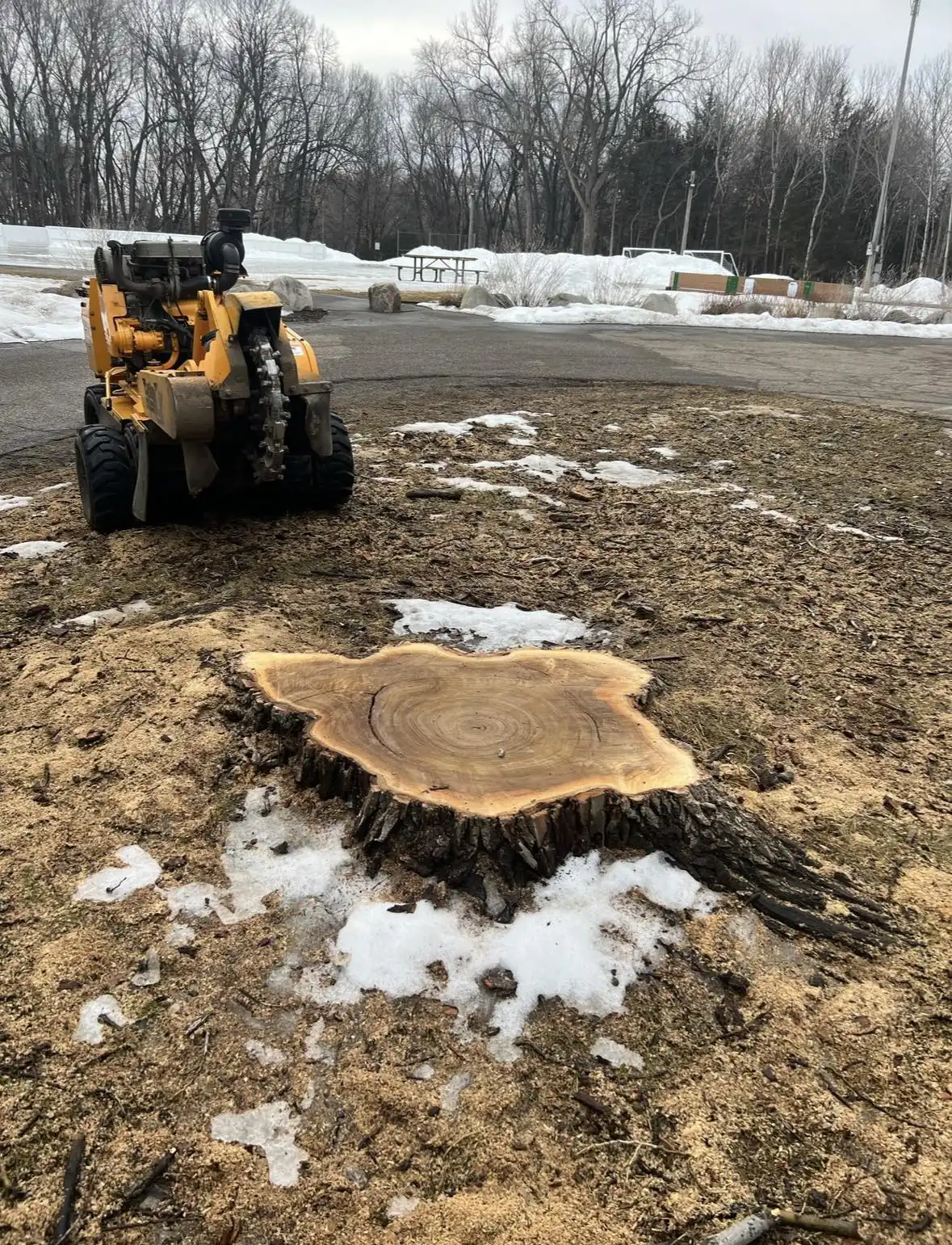 West Metro Stump Grinding - Stump removal in Minnetonka Beach, Minnesota