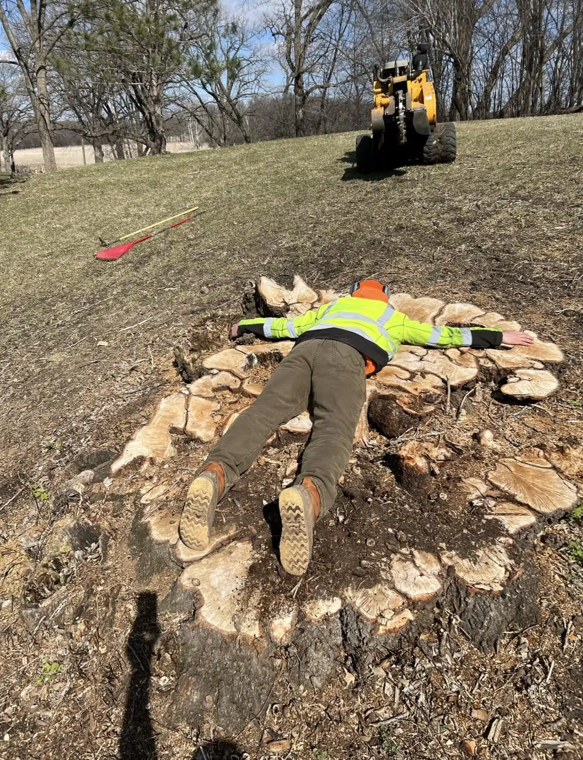 West Metro Stump Grinding - Large stump removed in Orono, Minnesota